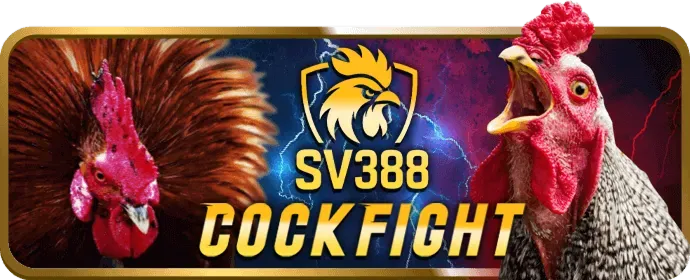 Trò chơi công bằng và minh bạch